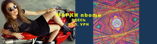 амф Снежногорск