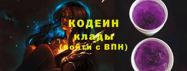 СК Вяземский