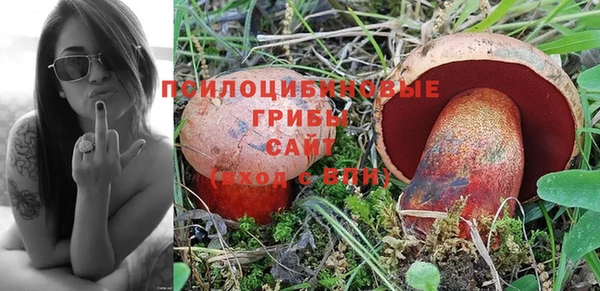 амф Вязники
